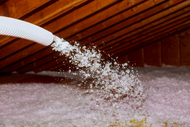 Best Residential Insulation in Dauphin Island, AL