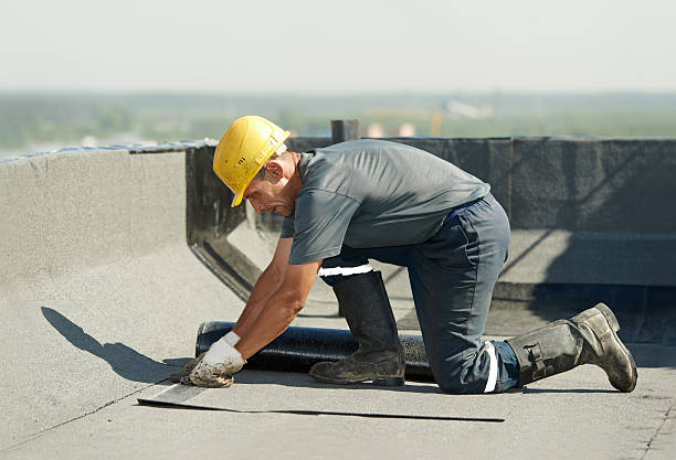 Best Specialty Insulation in Dauphin Island, AL