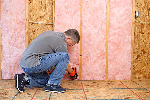 Best Insulation for Specific Applications in Dauphin Island, AL